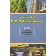 Understanding North-West Indian Economy